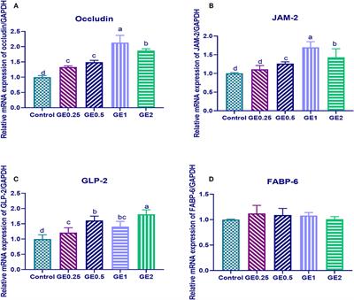 Influence of Glycyrrhiza glabra Extract on Growth, Gene Expression of Gut Integrity, and Campylobacter jejuni Colonization in Broiler Chickens